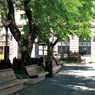 Debreceni pad (2)